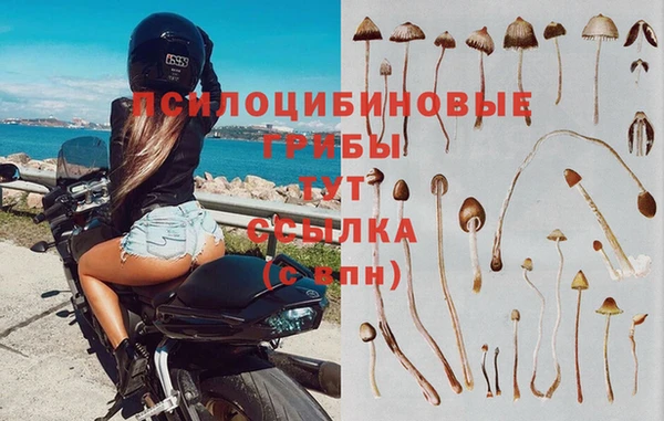 не бодяженный Няндома