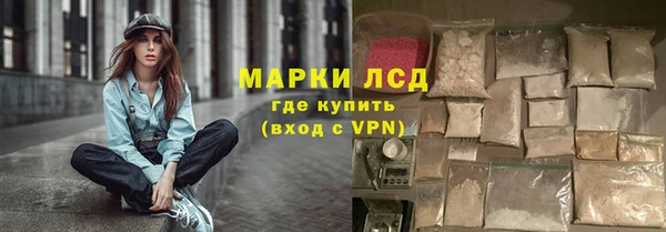 трава Осинники