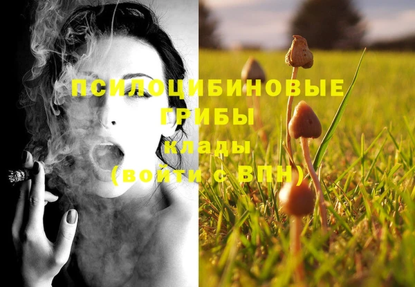 трава Осинники