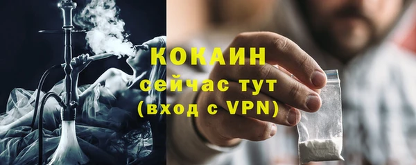 трава Осинники