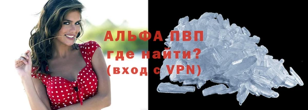 трава Осинники