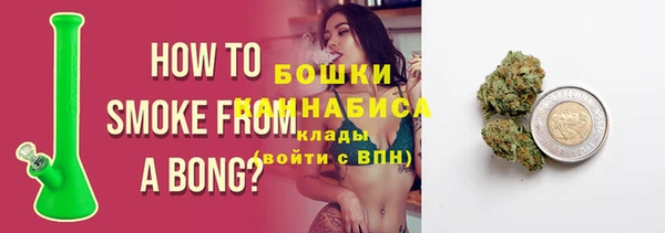 трава Осинники