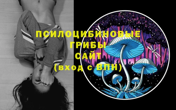 ECSTASY Остров