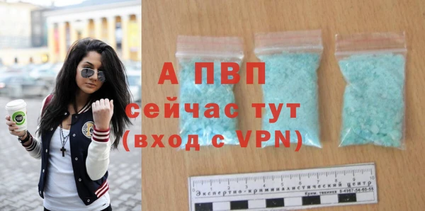 трава Осинники