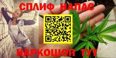 не бодяженный Гай