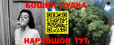не бодяженный Гай