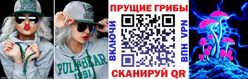 цены наркотик  Кировск  Псилоцибиновые грибы MAGIC MUSHROOMS 